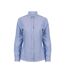 Womens/ladies modern long sleeve oxford shirt blue Henbury