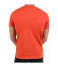 Tee-Shirt Pepe Jeans Stepney-2