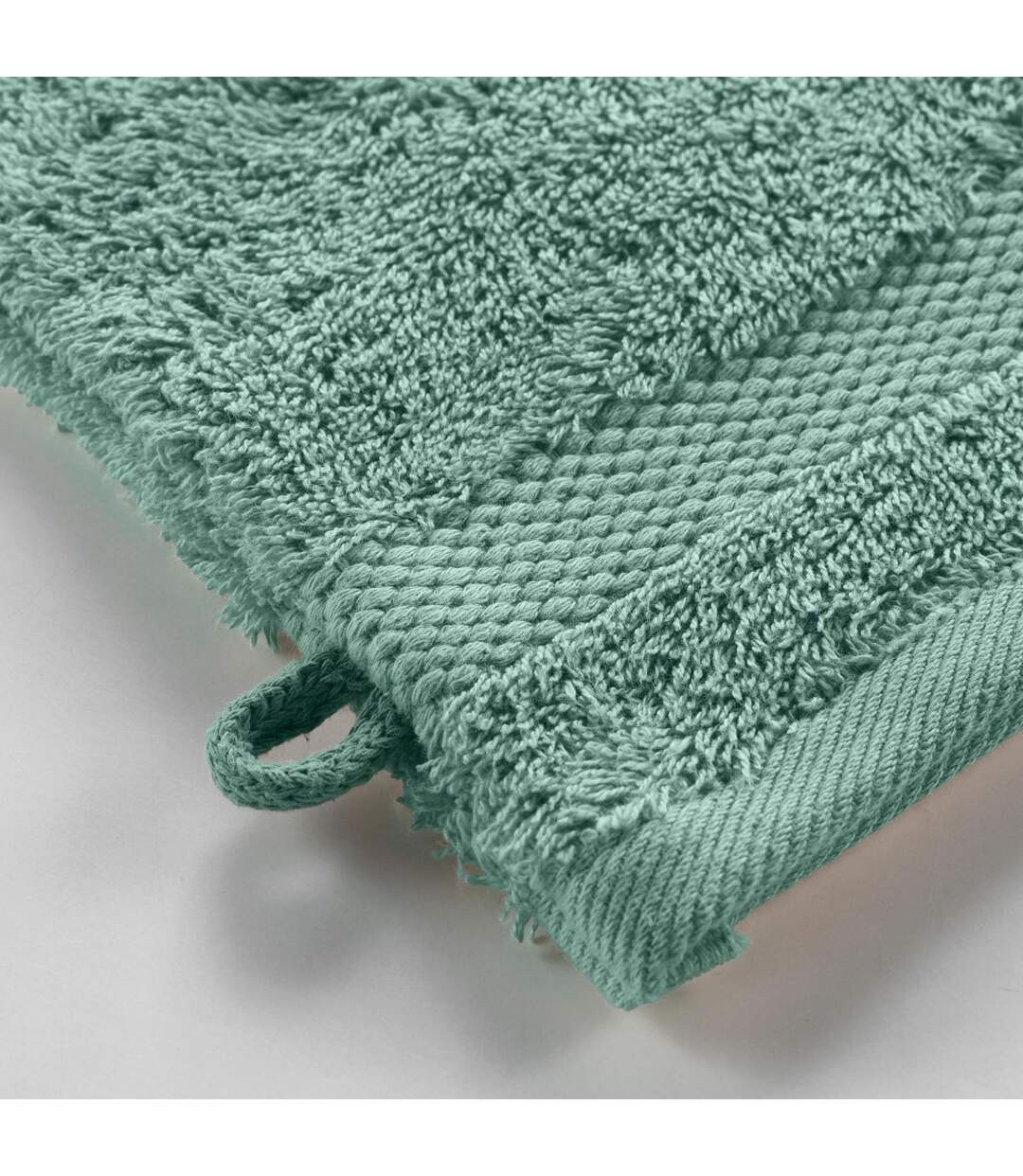 Lot de 2 Gants de Toilette Elegance 15x21cm Céladon-2