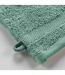 Lot de 2 Gants de Toilette Elegance 15x21cm Céladon-2