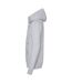 Hoods Sweat À Capuche Homme Gris AWDis-3