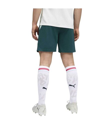 Mens World Cup 2026 Lightweight Austria Fc Away Shorts Green Mint Puma