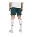 Mens World Cup 2026 Lightweight Austria Fc Away Shorts Green Mint Puma-4