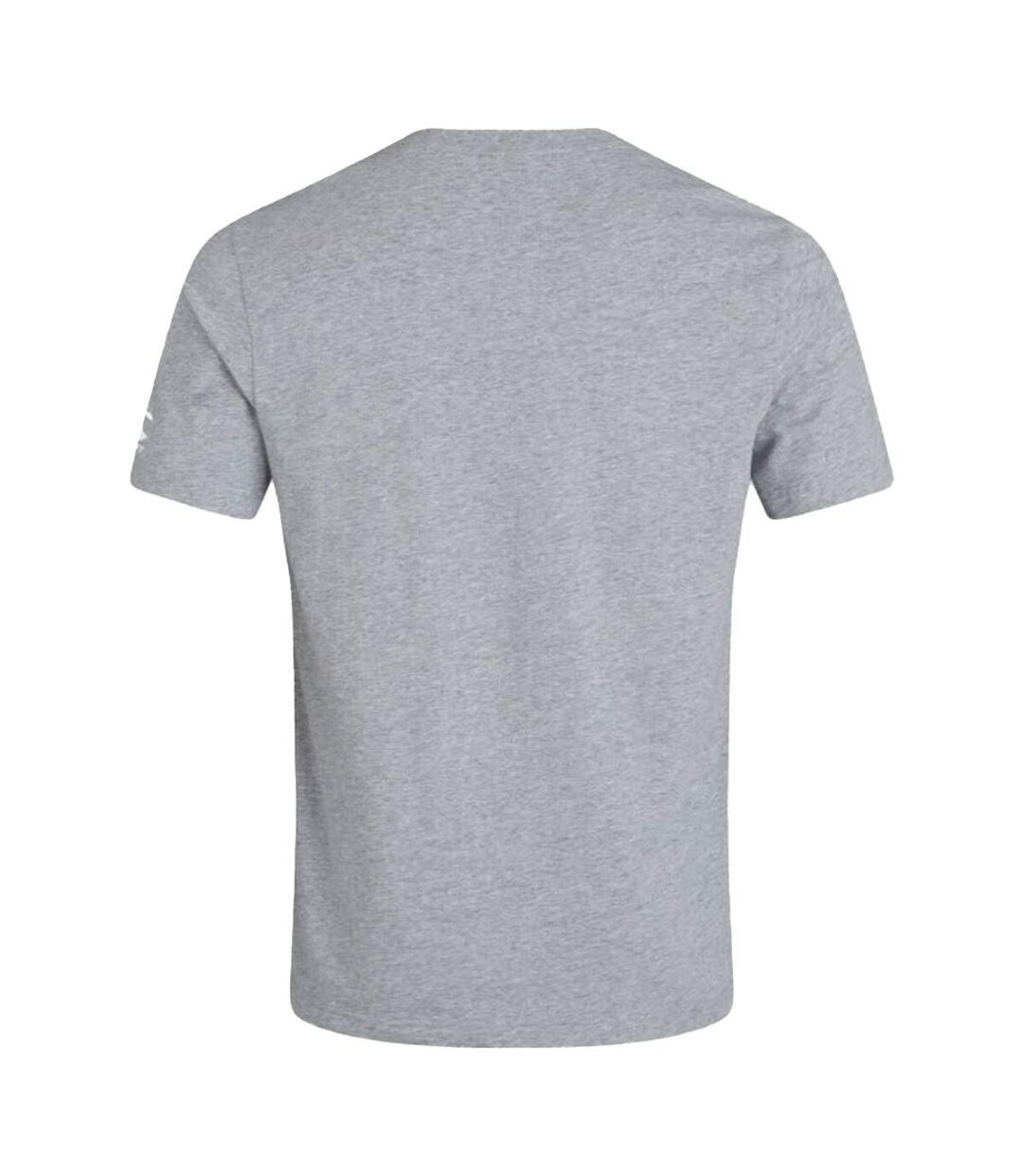 Canterbury Unisex Adult Club Plain T-Shirt (Grey Marl) - UTPC4372
