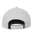 Casquette Delta Argenté Flexfit-2