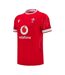 Unisex Adult 24/25 Macron Rugby Home Jersey Red Wales RU-1