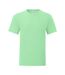Fruit Of The Loom - T-shirt manches courtes ICONIC - Homme (Vert pâle) - UTBC4769