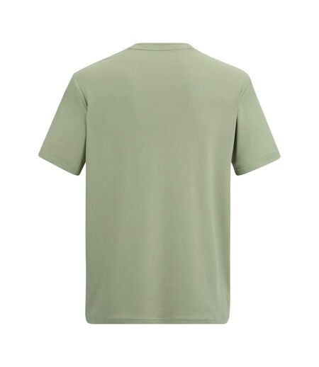 T-shirt Motif/style Coucher De Soleil Fingal Homme Vert Pâle Regatta
