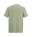 T-shirt Motif/style Coucher De Soleil Fingal Homme Vert Pâle Regatta-3