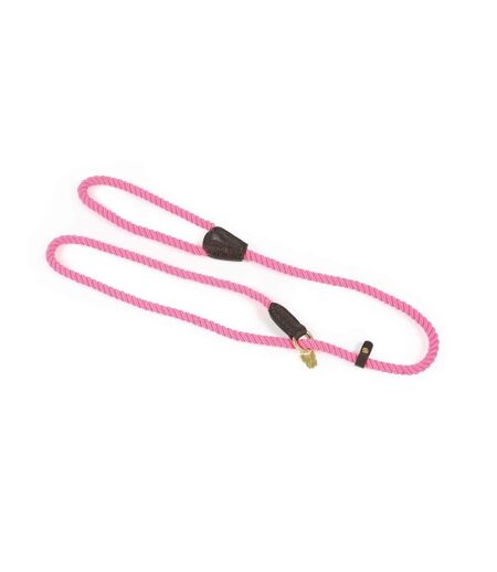 Rope leather dog slip lead one size pink Digby & Fox