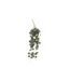 Tige Artificielle Eucalyptus Drew 80cm Vert-1