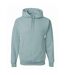 Unisex Adult Nublend Hoodie Sage Jerzees-1