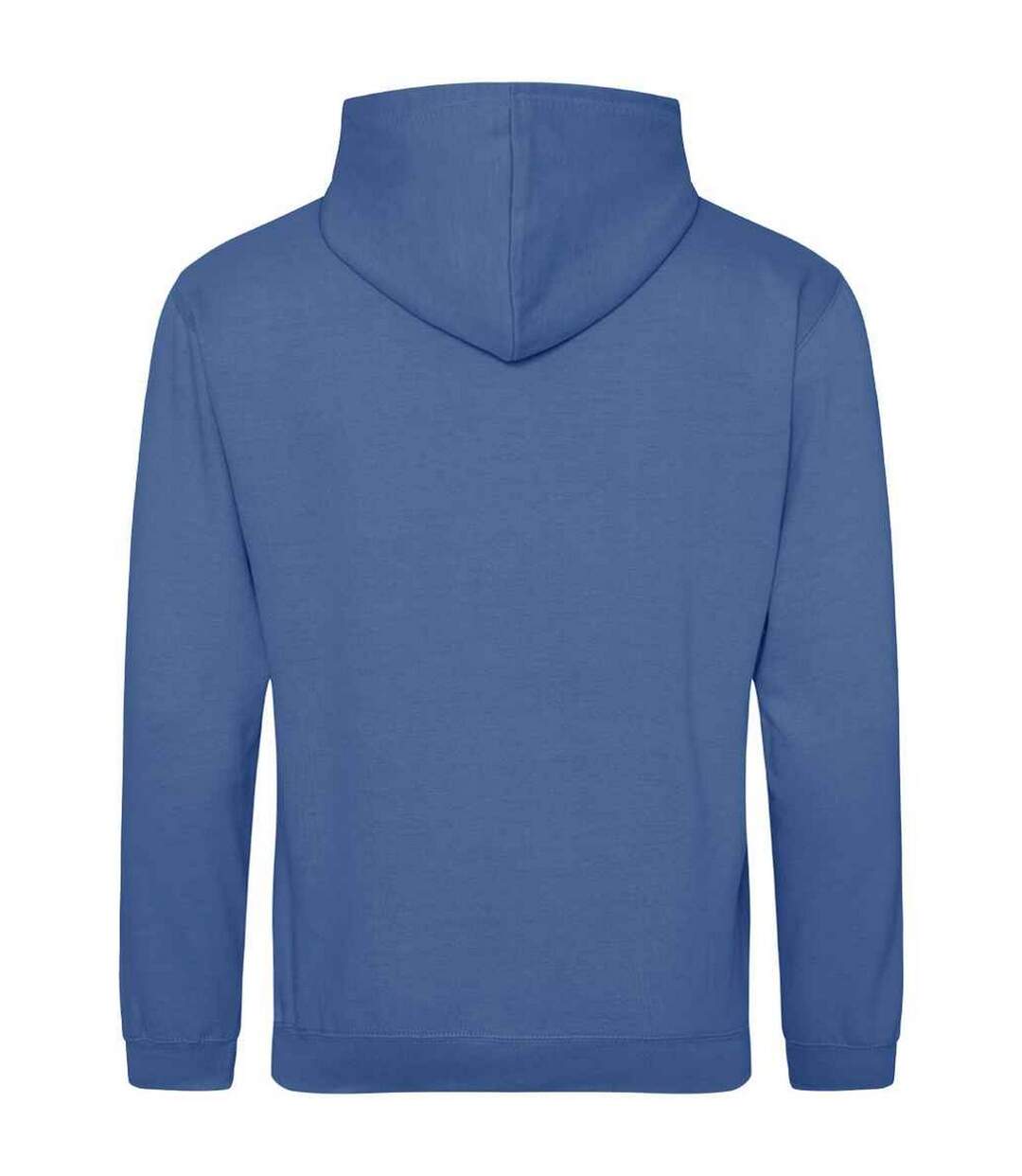Sweat À Capuche College Adulte Bleu Tropical Awdis-2