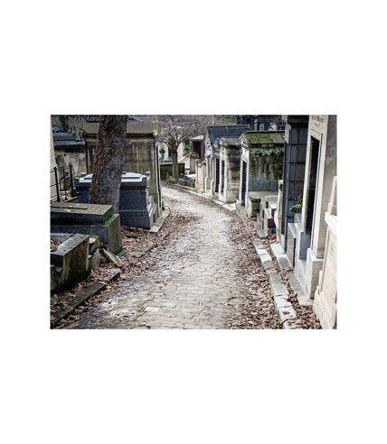 Visite guidée du cimetière du Père Lachaise pour 2 personnes à Paris - SMARTBOX - Coffret Cadeau Sport & Aventure