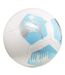 Ballon De Foot Taille 3 Blanc Bleu Puma-1