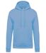 Sweat-shirt à capuche - Unisexe - K476 - bleu ciel-2