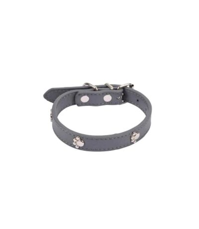 Collier Fantaisie pour Chien Pattes 35cm Anthracite
