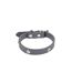 Collier Fantaisie pour Chien Pattes 35cm Anthracite-1