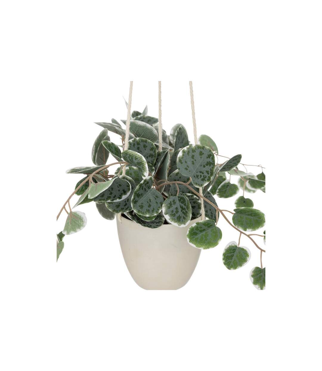 Plante Suspendue en Pot Lour 80cm Blanc & Vert-2