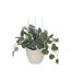 Plante Suspendue en Pot Lour 80cm Blanc & Vert-2