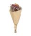 Bouquet de Fleurs Séchées Carmen 50cm Rose-1