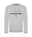 Unisex Adult Formula 1 Fleece Sweatshirt Grey AWD-1