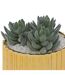 Plante Artificielle en Pot Le Collectionneur 14cm Or-2