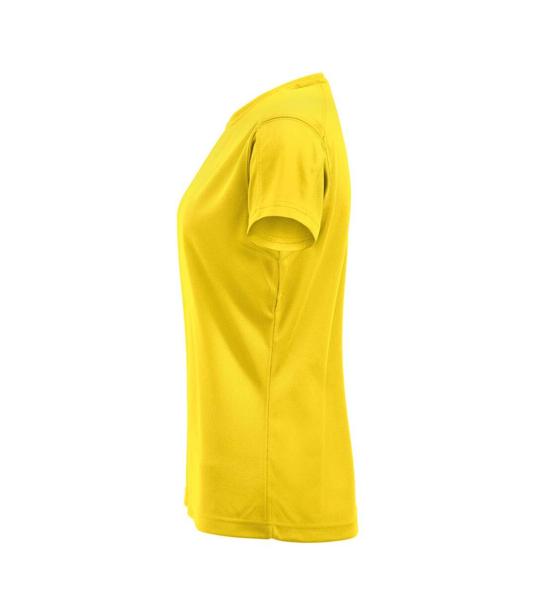 Womens/ladies Ice T-shirt Lemon Clique-3