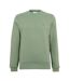 Mens Embroidered Logo Fleece Crew Neck Sweatshirt Thyme Green Lacoste-2