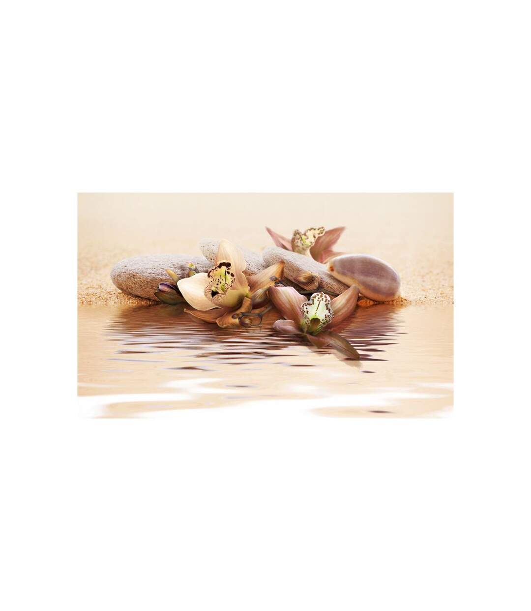 Papier Peint Plage Nénuphars 270x450cm-2