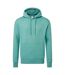 Mens organic hoodie teal Anthem-1