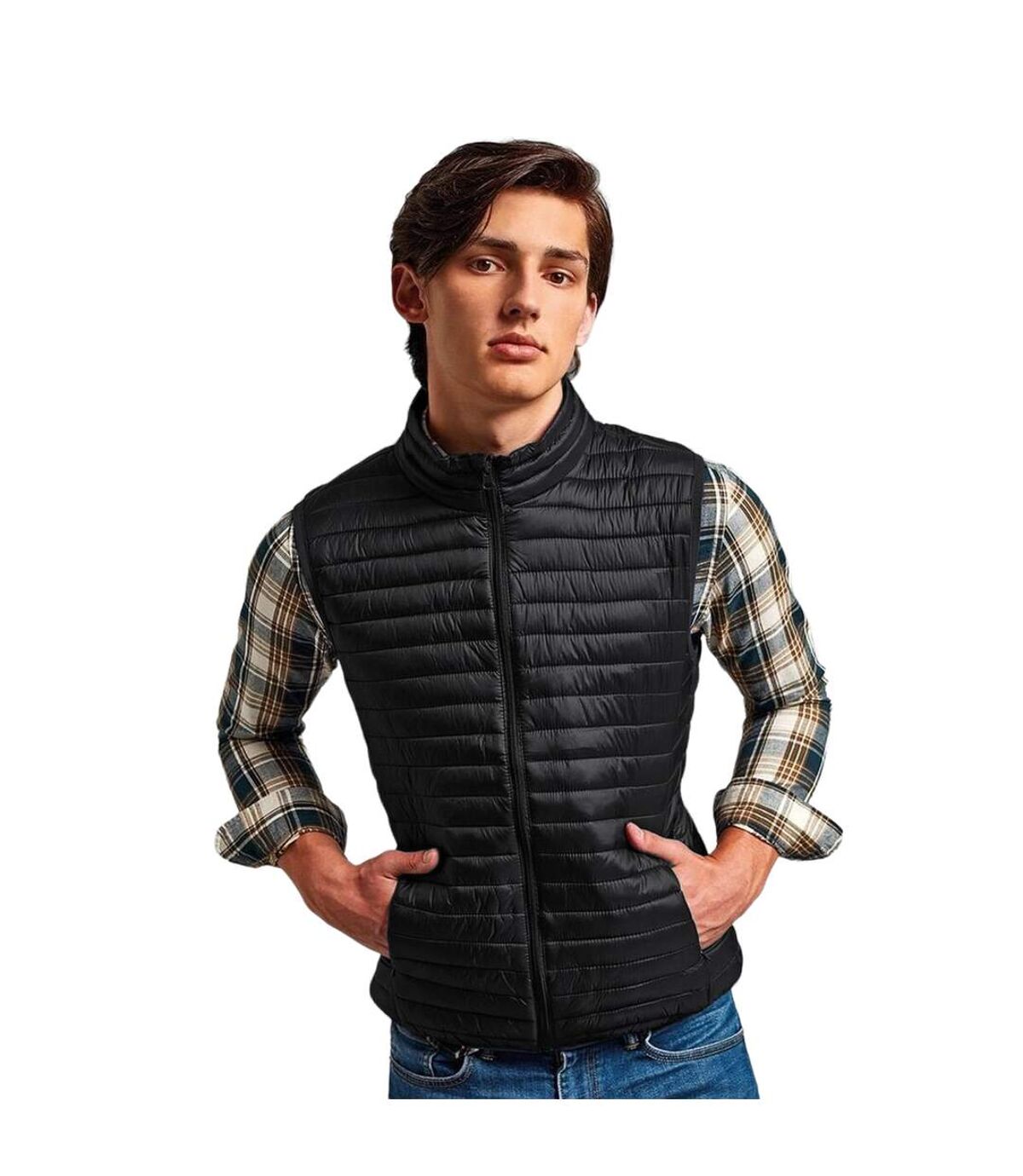 2786 Mens Tribe Fineline Padded Gilet/Bodywarmer (Black)