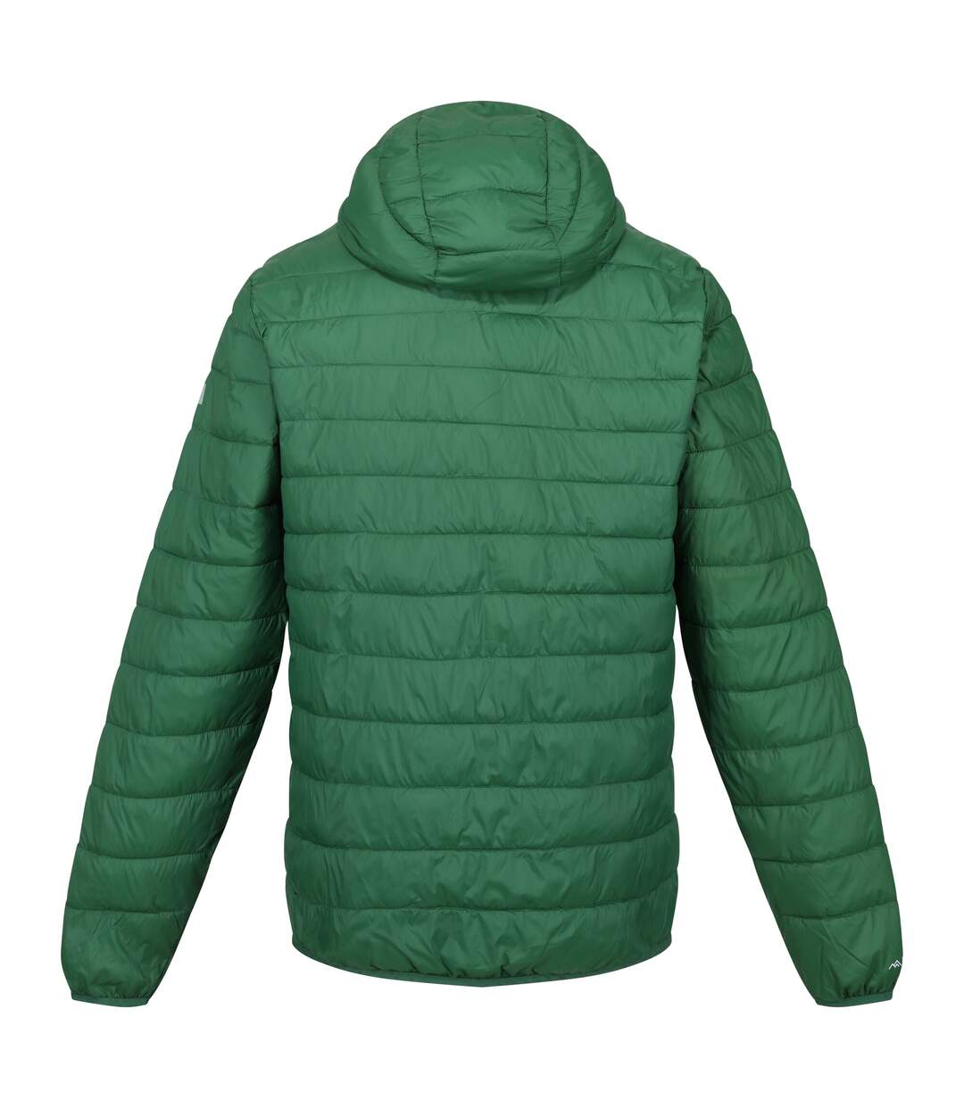 Veste hillpack homme vert Regatta Regatta