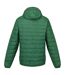 Veste hillpack homme vert Regatta