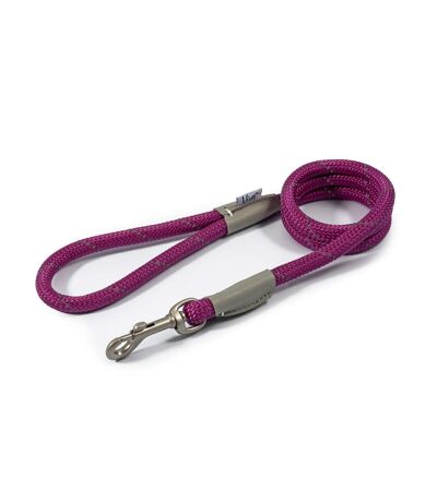Ancol Viva Reflective Dog Slip Lead (Purple) (1.07m x 12mm) - UTTL5194