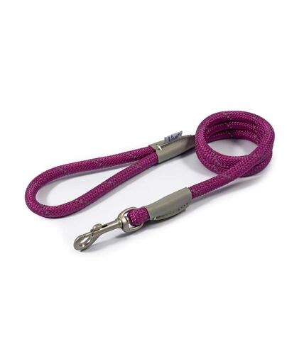 Viva reflective dog slip lead 1.07m x 12mm purple Ancol