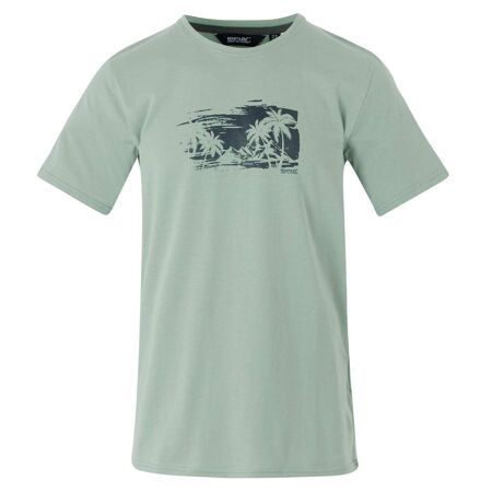 T-shirt cline homme glacier Regatta