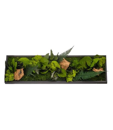Tableau végétal stabilisé canopé Panoramic 70 x 20 cm