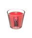 Bougie Parfumée en Verre Nina 190g Fruits Rouges-1