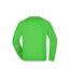 Sweat Workwear Adulte Vert Citron James And Nicholson-2