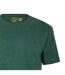 T-shirt Custom Homme Vert Pin Ralph Lauren-3