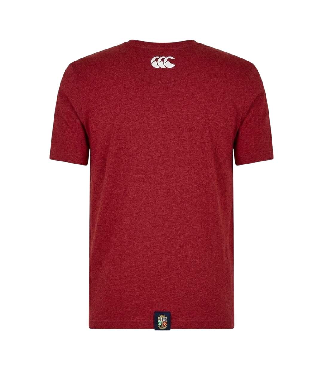 T-shirt Motif/style British & Irish Lions Monument Homme Rouge Écarlate Canterbury-2