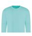 Sweat Adulte Vert Pâle Awdis-2