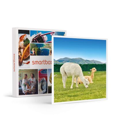 Découverte des animaux - SMARTBOX - Coffret Cadeau Multi-thèmes