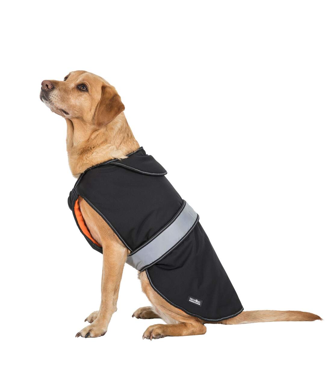 Butch touch fastening softshell dog jacket xs black Trespass-1