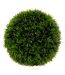 Boule d'Herbe Artificielle Carly 18cm Vert-1