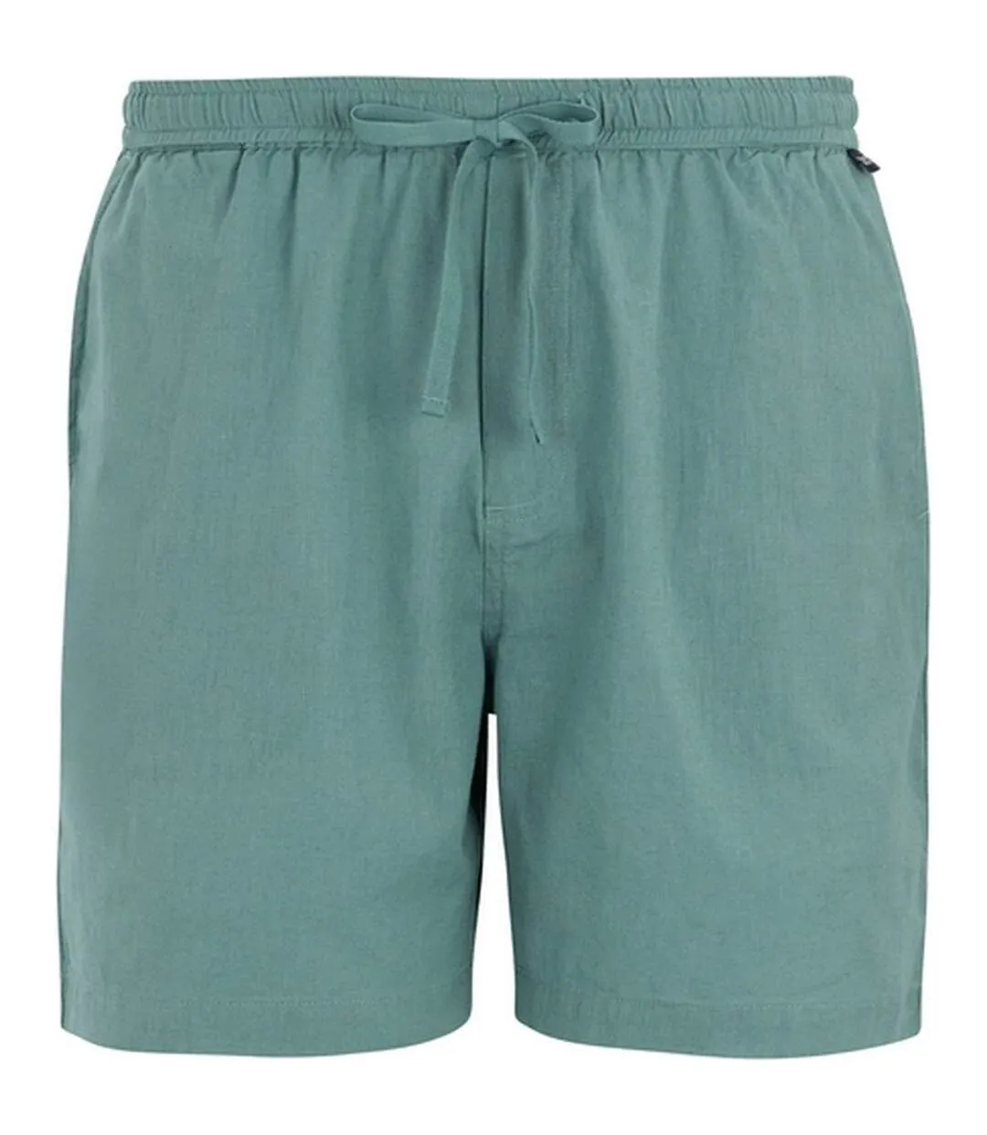 Short Hadlin Homme Bleu Clair Regatta-1