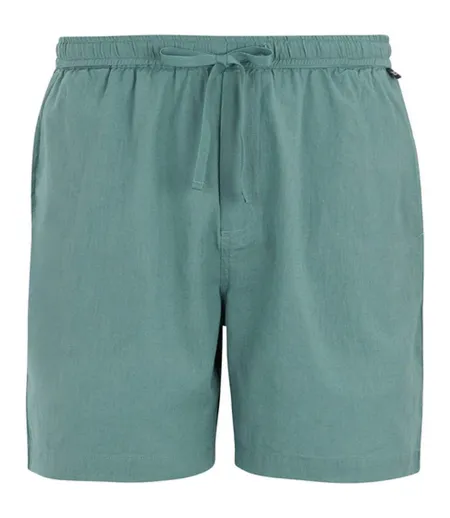 Short Hadlin Homme Bleu Clair Regatta