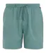 Short Hadlin Homme Bleu Clair Regatta-1