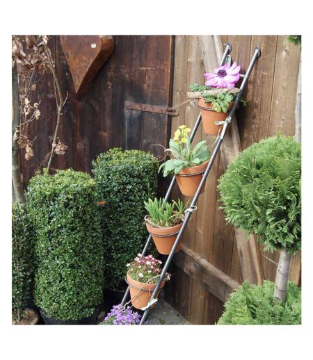 Support à plantes en acier Ladder